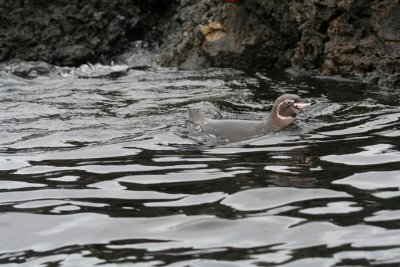 IMG_2748.JPG
