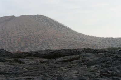 IMG_2807.JPG