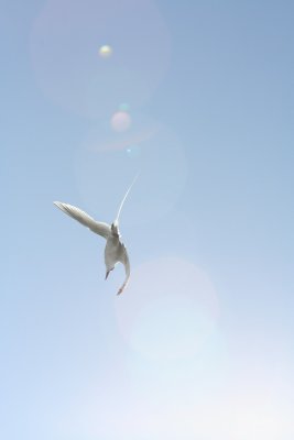 IMG_3122.JPG