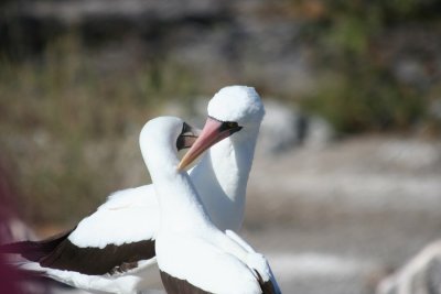 IMG_3131.JPG