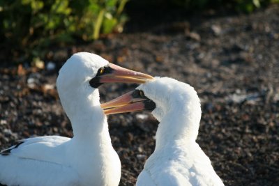 IMG_3249.JPG