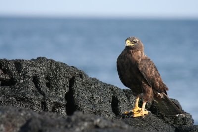 IMG_3383.JPG