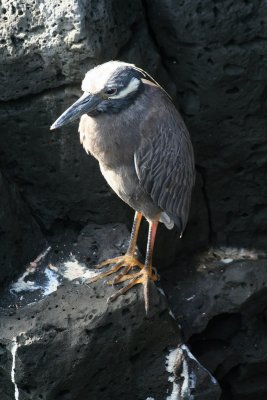 IMG_3439.JPG