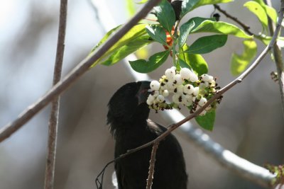 IMG_3733.JPG