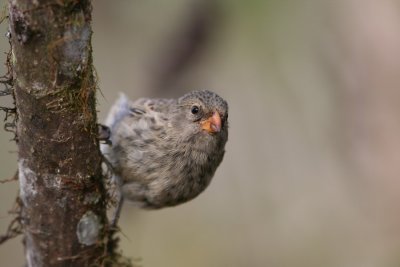 IMG_3792.JPG