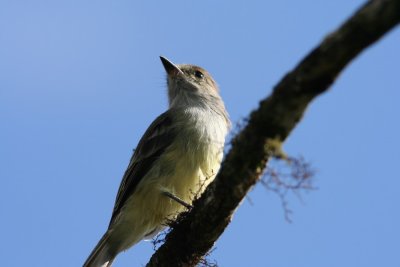 IMG_3823.JPG