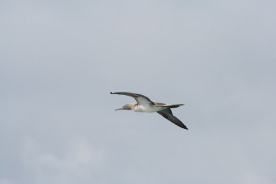 IMG_3967.JPG