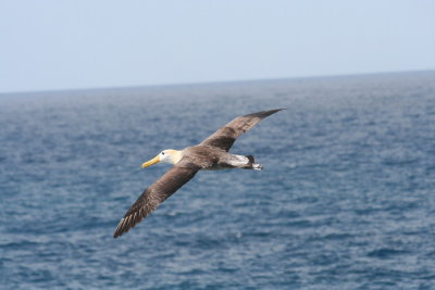 IMG_4011.JPG