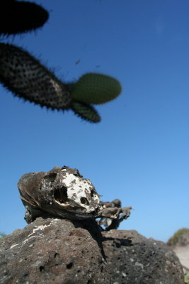IMG_4539.JPG
