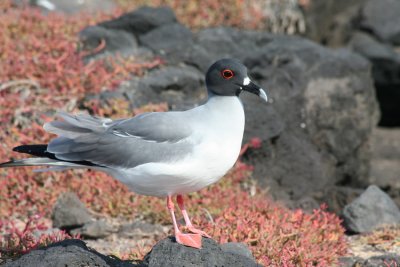 IMG_4567.JPG