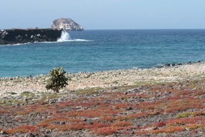 IMG_4572.JPG