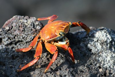 IMG_4628.JPG