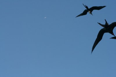 IMG_4682.JPG