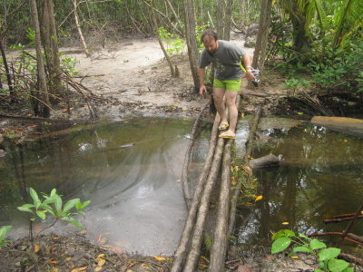 Mario crossing the ADA approved bridge