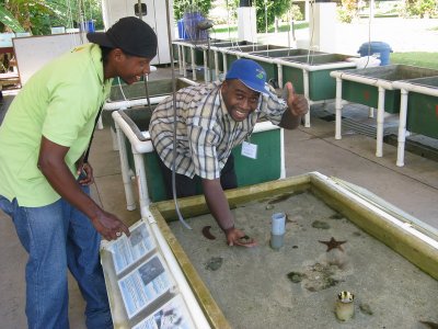 The aquatic tanks at the research station
