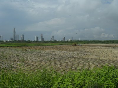 Here is a huge wetland being filled in for development, with Panama City in the background