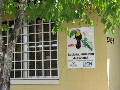 Audubon Society of Panama offices- they have four employees