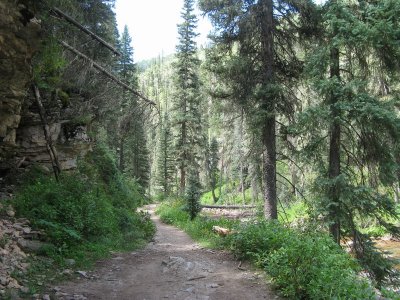 A wider section of trail