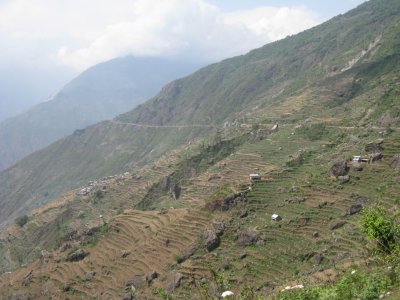 IMG_1505.JPG