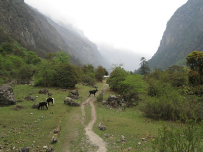 IMG_1620b.JPG