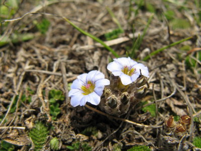 IMG_1782.JPG