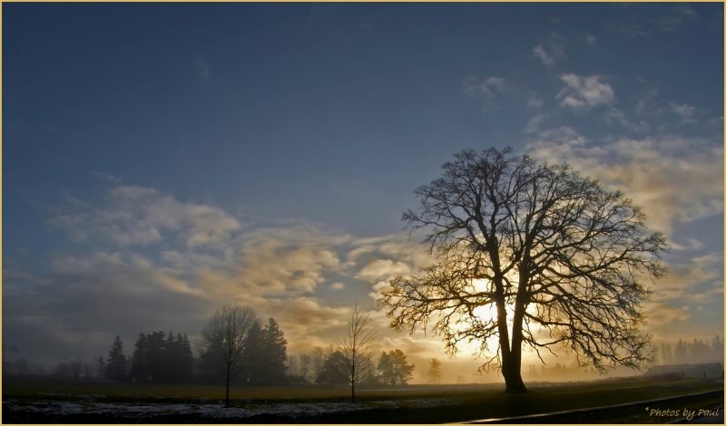 A MISTY SUNRISE . .