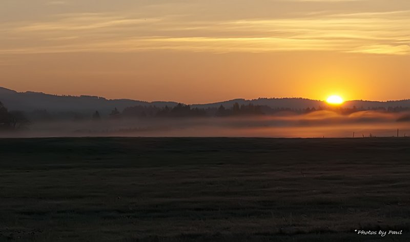 THE SUN OF GOD !!