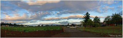 PANO . . . AN EARLY MORNING AUTUMN SKY