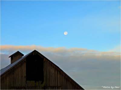 A FULL MOON - AT SUNRISE