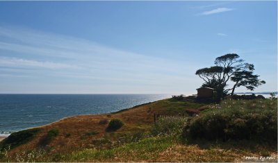 MONTEREY BAY, CALIFORNIA COAST.