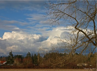 WINTER STORM CLOUDS . . . .