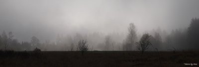 A LOTTA FOG !