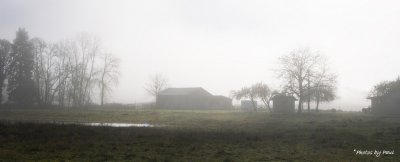 A FOGGY MORN AT THE FARM