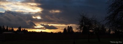 A PACIFIC NW WINTER SUNSET . . . (THANKS VOICE !)