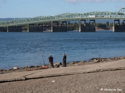 THE I-5 BRIDGE