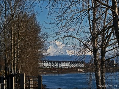 MT. HOOD AND THE COLUMBIA RIVER.