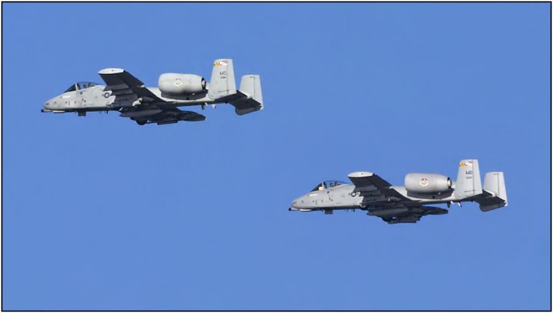 CRW_4000.jpg