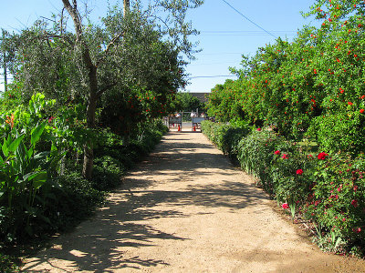 Fresno's Forestiere Underground Garden, California