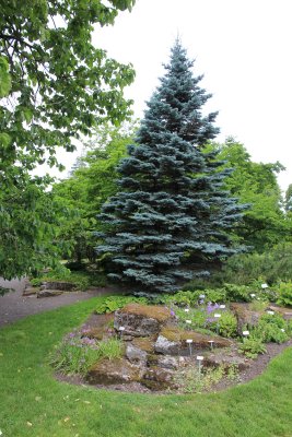 Botanisk Hage