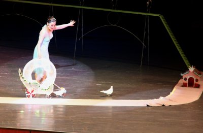 Pyongyang Circus. In DPRK even the pigeons does as they are told...