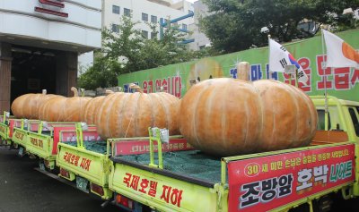 Pumpkins outside Hotel Kukje