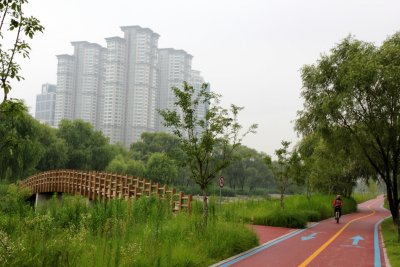 Yeouido Saetgang Ecological Park