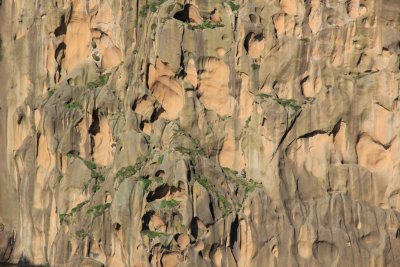 Cliffs along the harbour entrance