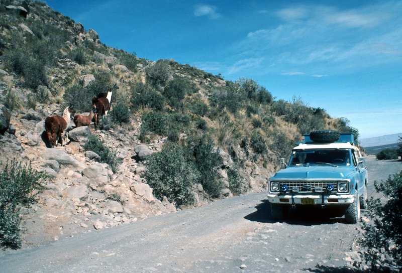 PeruBolivia76 - 76.jpg