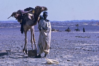 Young Man with Camel