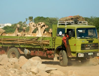 Djibouti  536.jpg