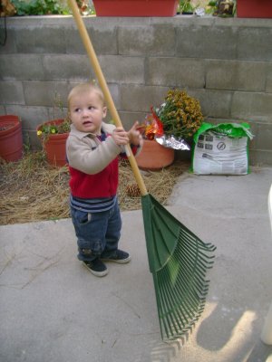 Mason wants to rake