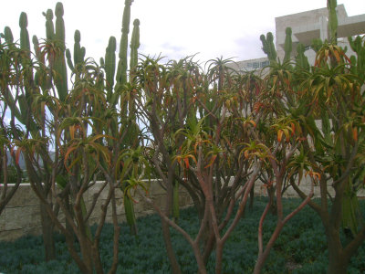 Getty April 2009 022.jpg