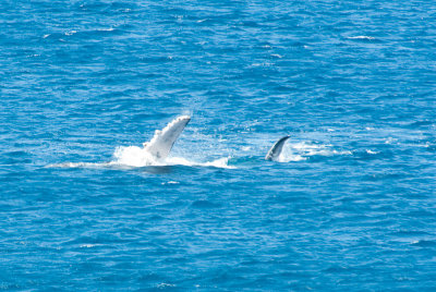 _DSC3630.jpg