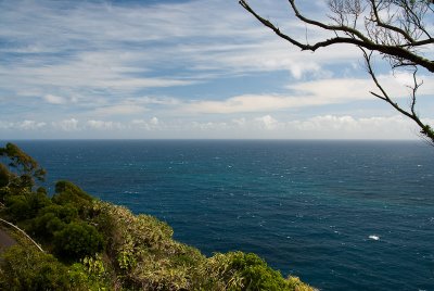 _DSC3792.jpg